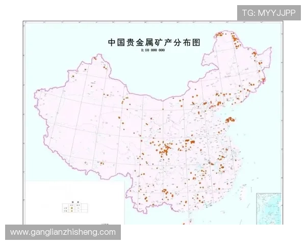 深入解析上海乒乓球队实力对比与发展潜力的全景观察