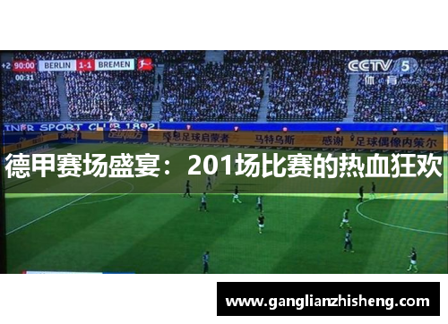 德甲赛场盛宴：201场比赛的热血狂欢