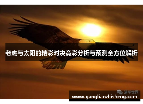 老鹰与太阳的精彩对决竞彩分析与预测全方位解析