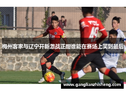 梅州客家与辽宁开新激战正酣谁能在赛场上笑到最后